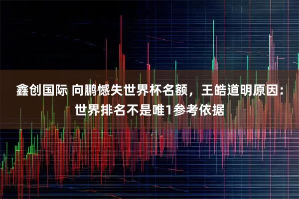 鑫创国际 向鹏憾失世界杯名额，王皓道明原因：世界排名不是唯1参考依据