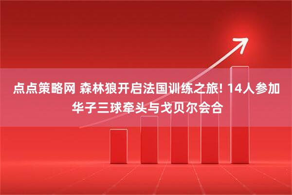 点点策略网 森林狼开启法国训练之旅! 14人参加 华子三球牵头与戈贝尔会合